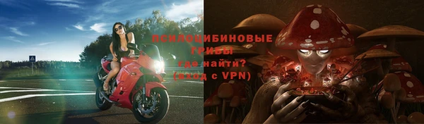 MESCALINE Кукмор