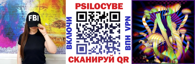 Галлюциногенные грибы Psilocybine cubensis  Пятигорск 